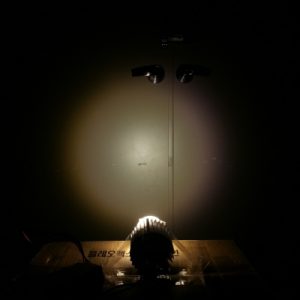 Making 30 Degree Light Distribution by Applying the Fresnel Lens
