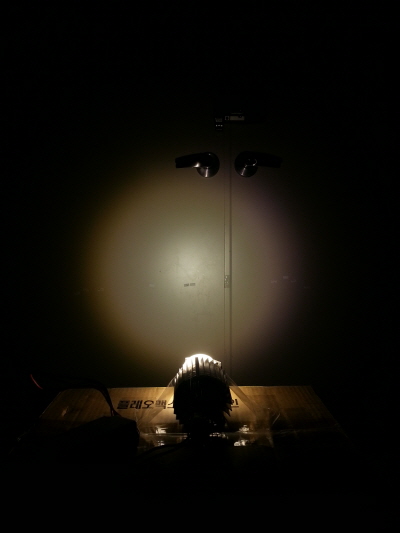 Making 30 Degree Light Distribution by Applying the Fresnel Lens