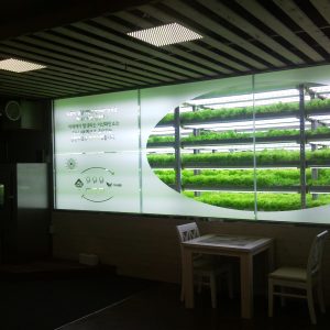 Plant Factory for L co.